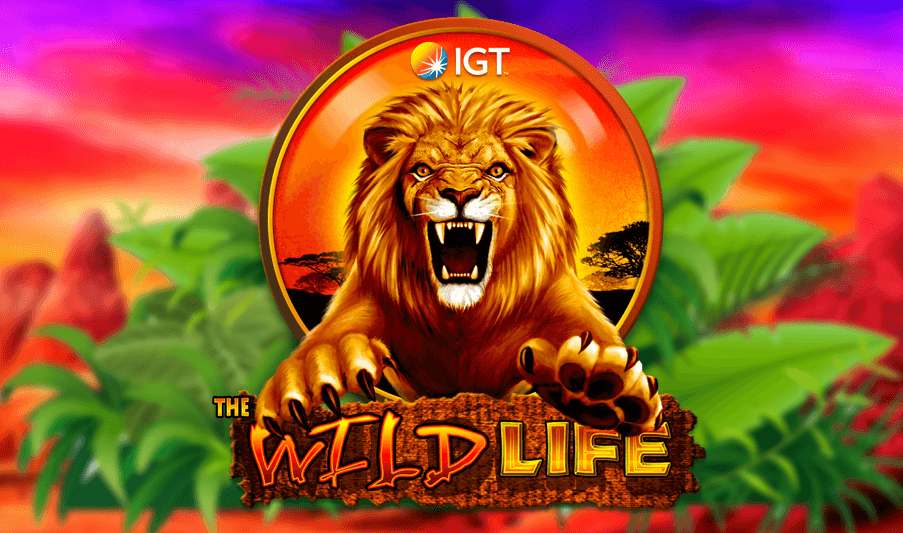 Wild life slot